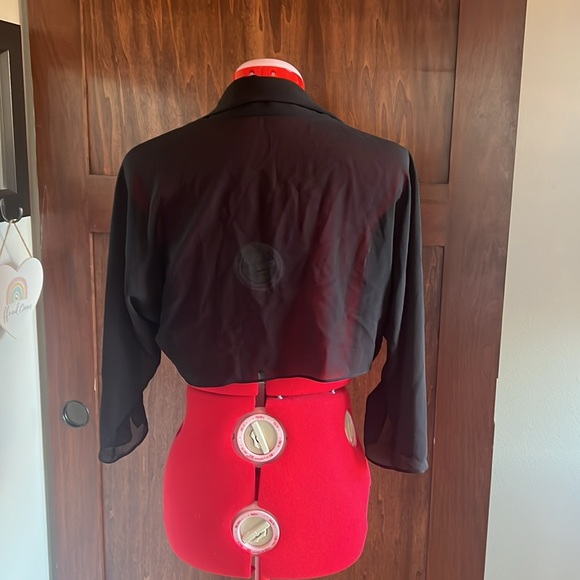 Sheer jacket - Picture 3 of 3